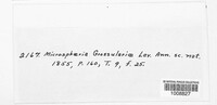 Microsphaera grossulariae image